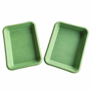 Customized Green Molded Pulp Trays