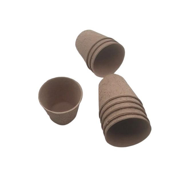 Biodegradable Seedling Tray Pulp Wholesale