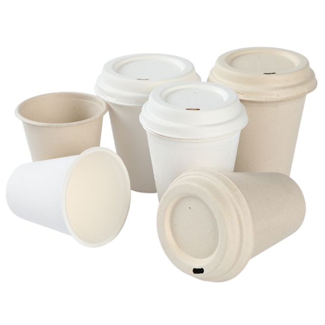 Biodegradable Molded Pulp Paper Cups with Lids Wholesale