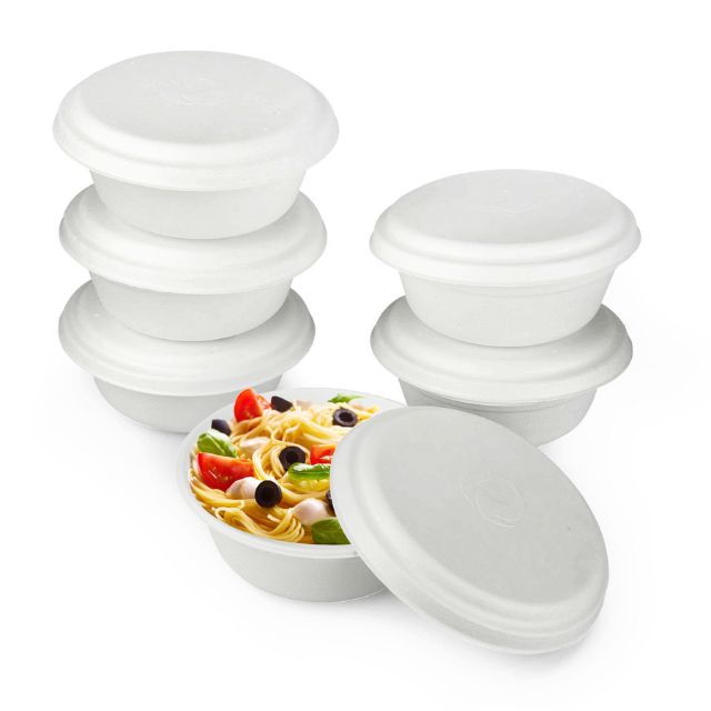 Disposable Sugarcane Pulp Food Packaging Wholesale