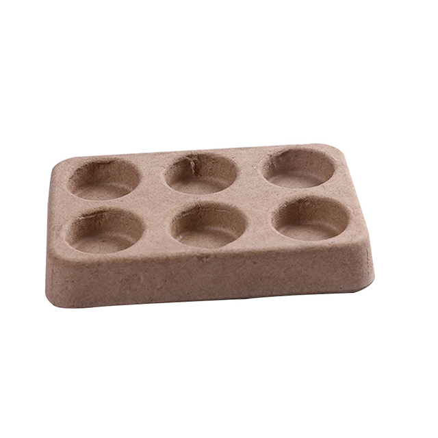Custom 6 Holes Dry Pressed Pulp Tray
