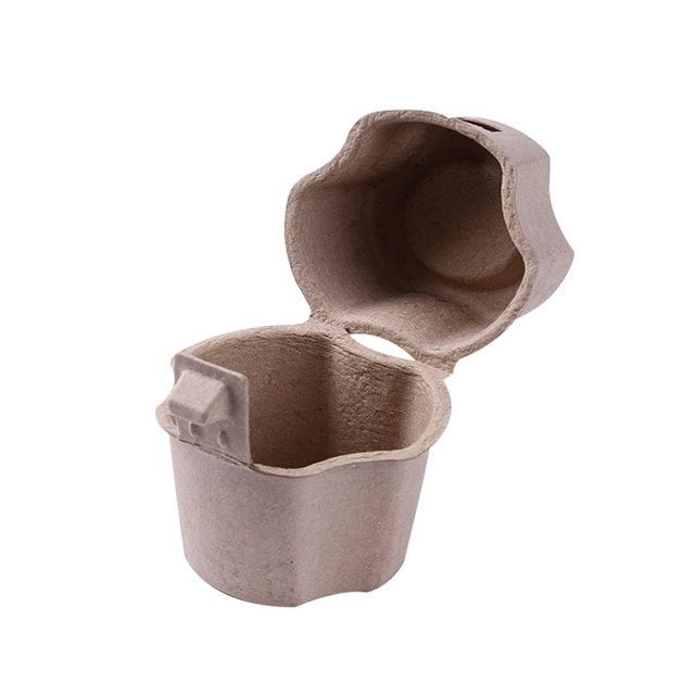 Fabricant de pâte moulée de plateau de semis de couvercle rabattable personnalisé 