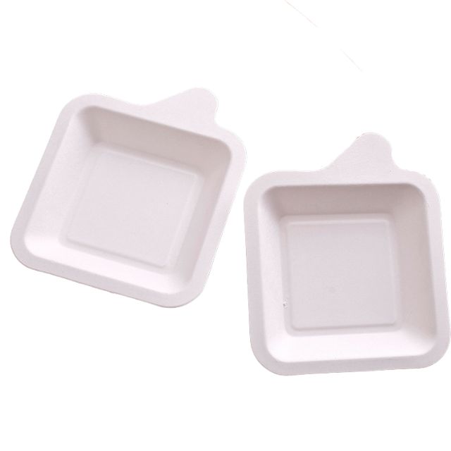 Disposable Food Pulp Tray Wholesale Custom